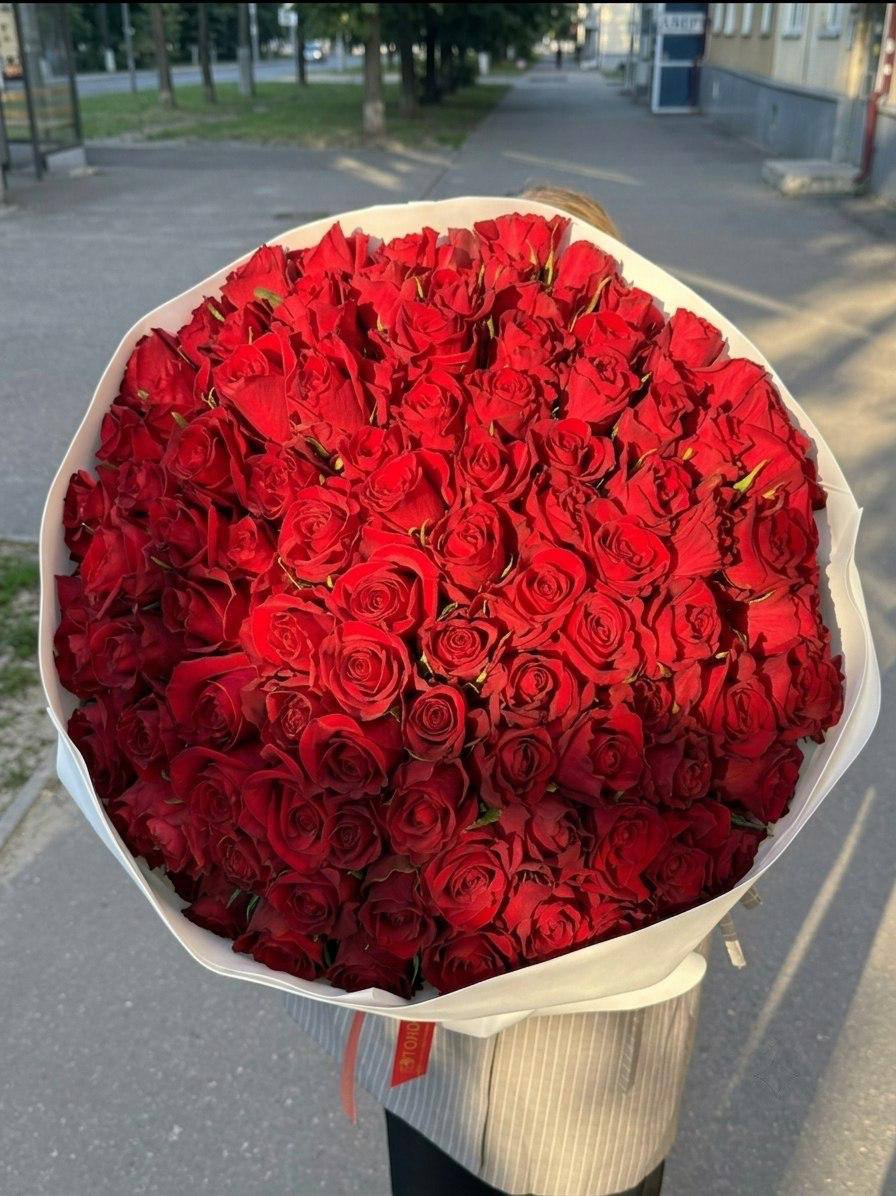 Алый парад роз
